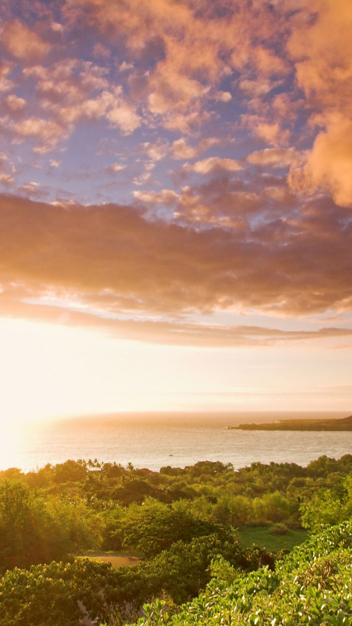 Tropical sunrise over lush green landscape