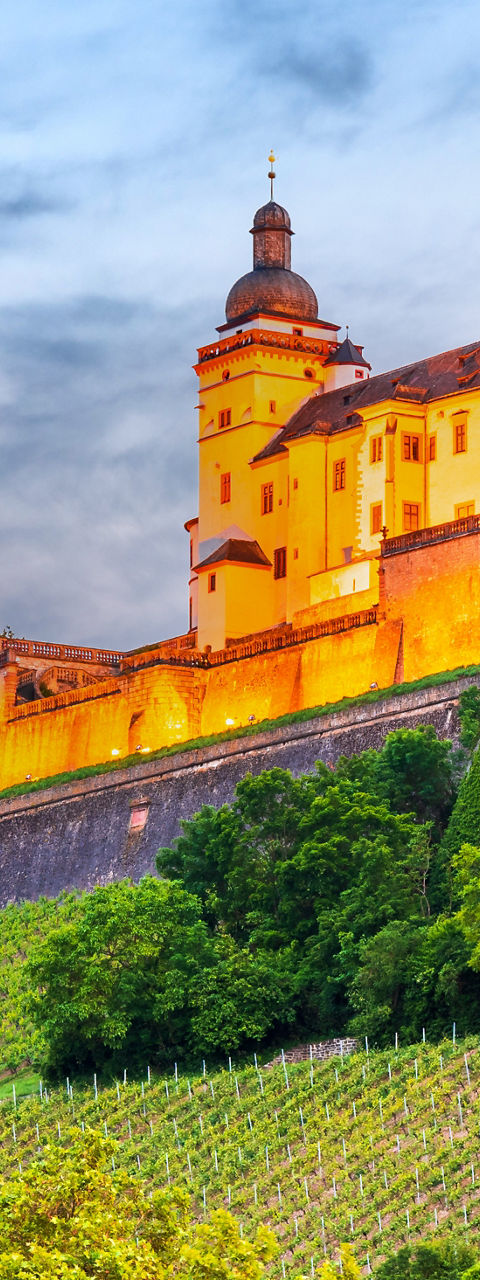 Historic castle overlooking lush vineyards