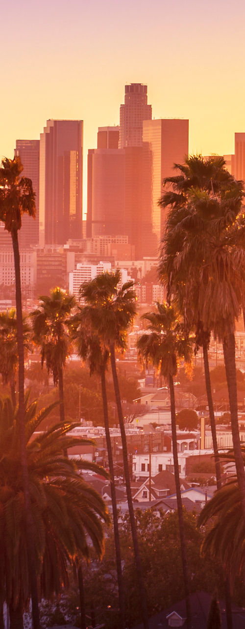 Los Angeles skyline at sunset with palm trees