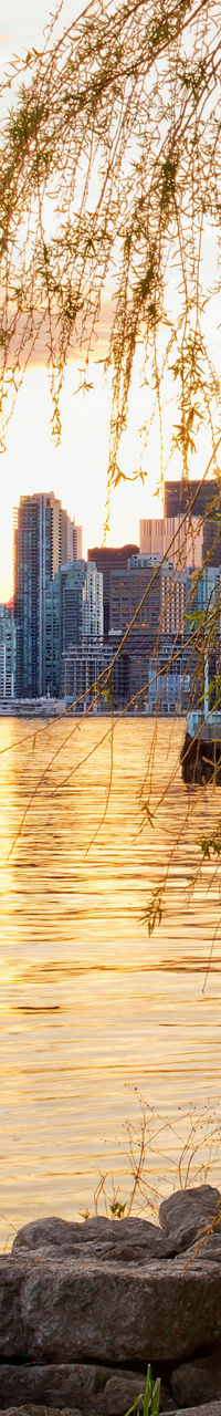 Toronto skyline at sunset with lake view
