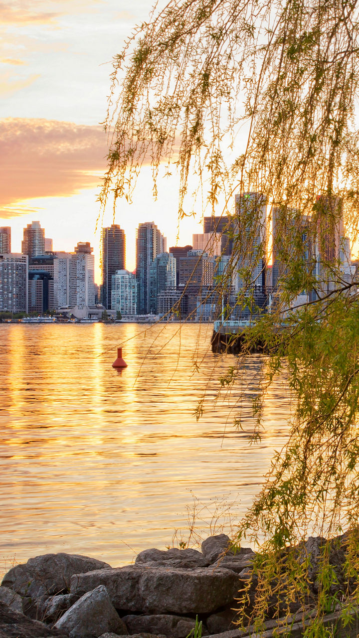 Toronto skyline at sunset with lake view