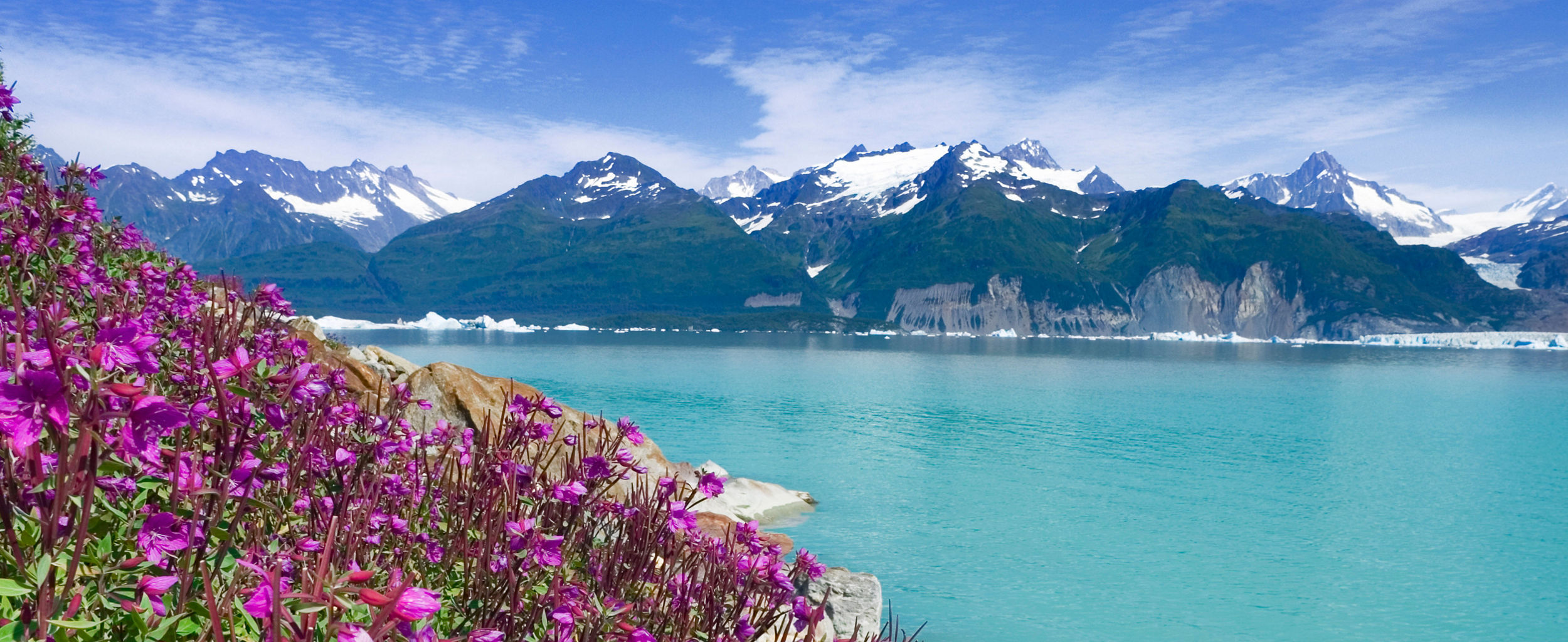 Vibrant flowers by serene mountain lake