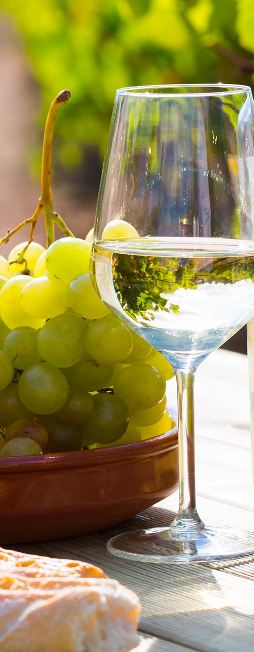White wine and grapes in vineyard setting