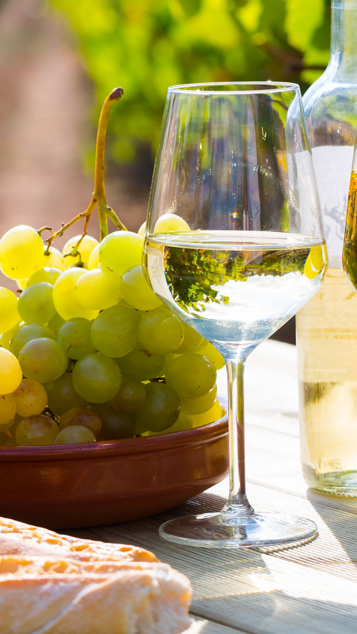Wine & Oil at Casa di Baal