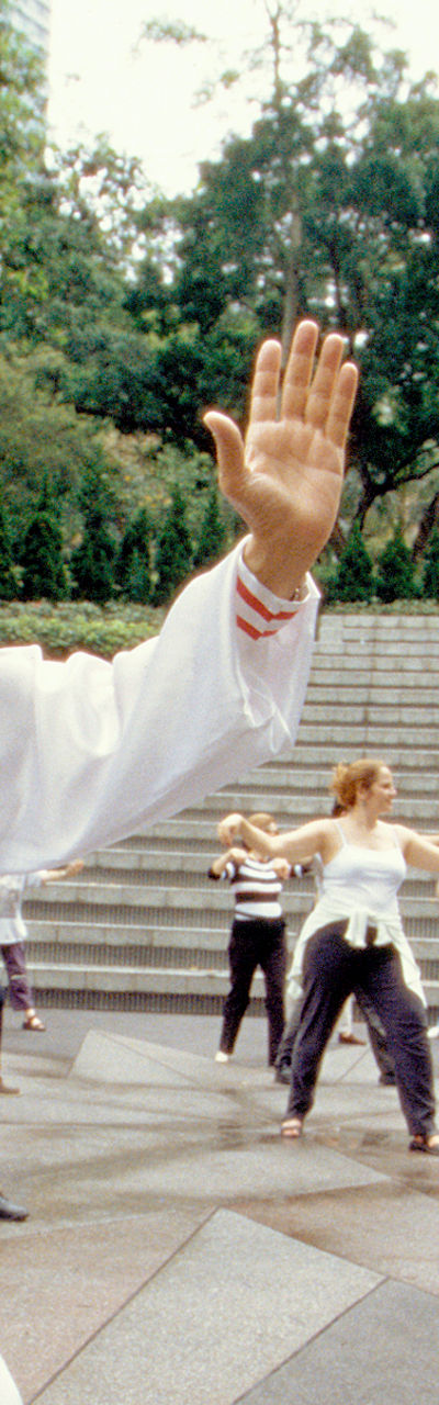 Group Tai Chi practice in outdoor setting