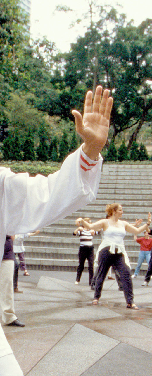 Group Tai Chi practice in outdoor setting
