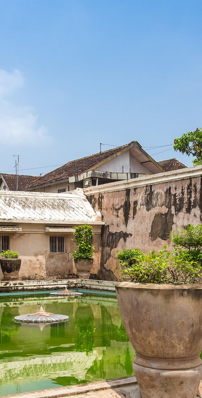 Historic water palace with lush greenery