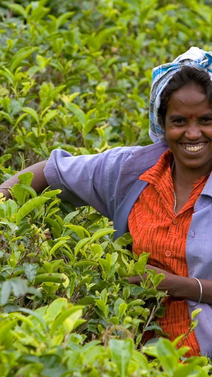 Millaniya's Organic Agro Farm