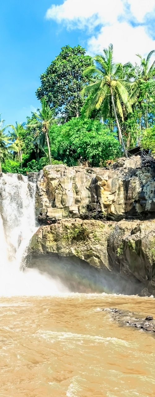 Scenic tropical waterfall in lush forest