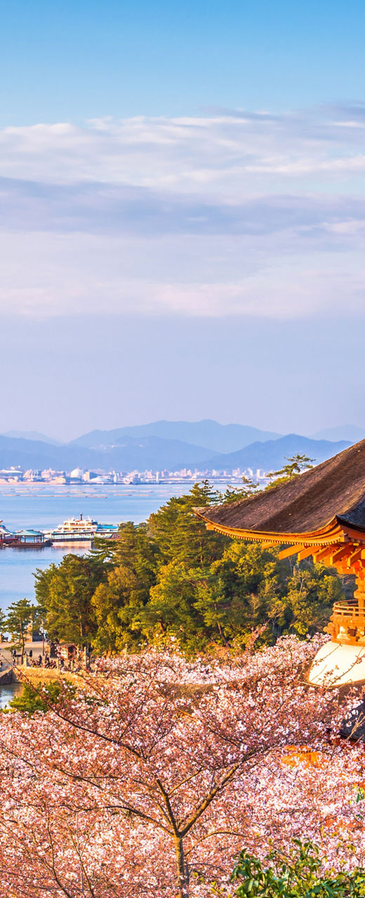 Scenic view of Miyajima with cherry blossoms