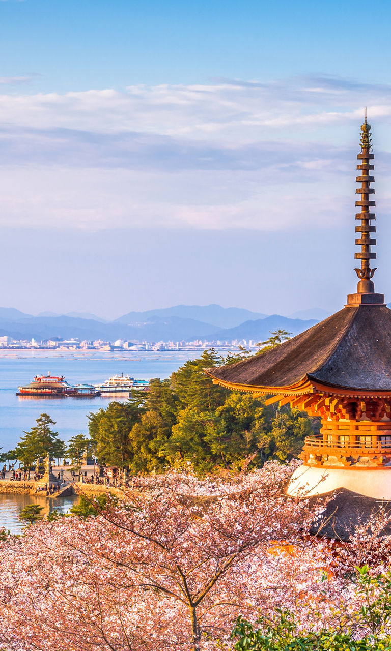 Scenic view of Miyajima with cherry blossoms