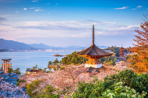 Scenic view of Miyajima with cherry blossoms