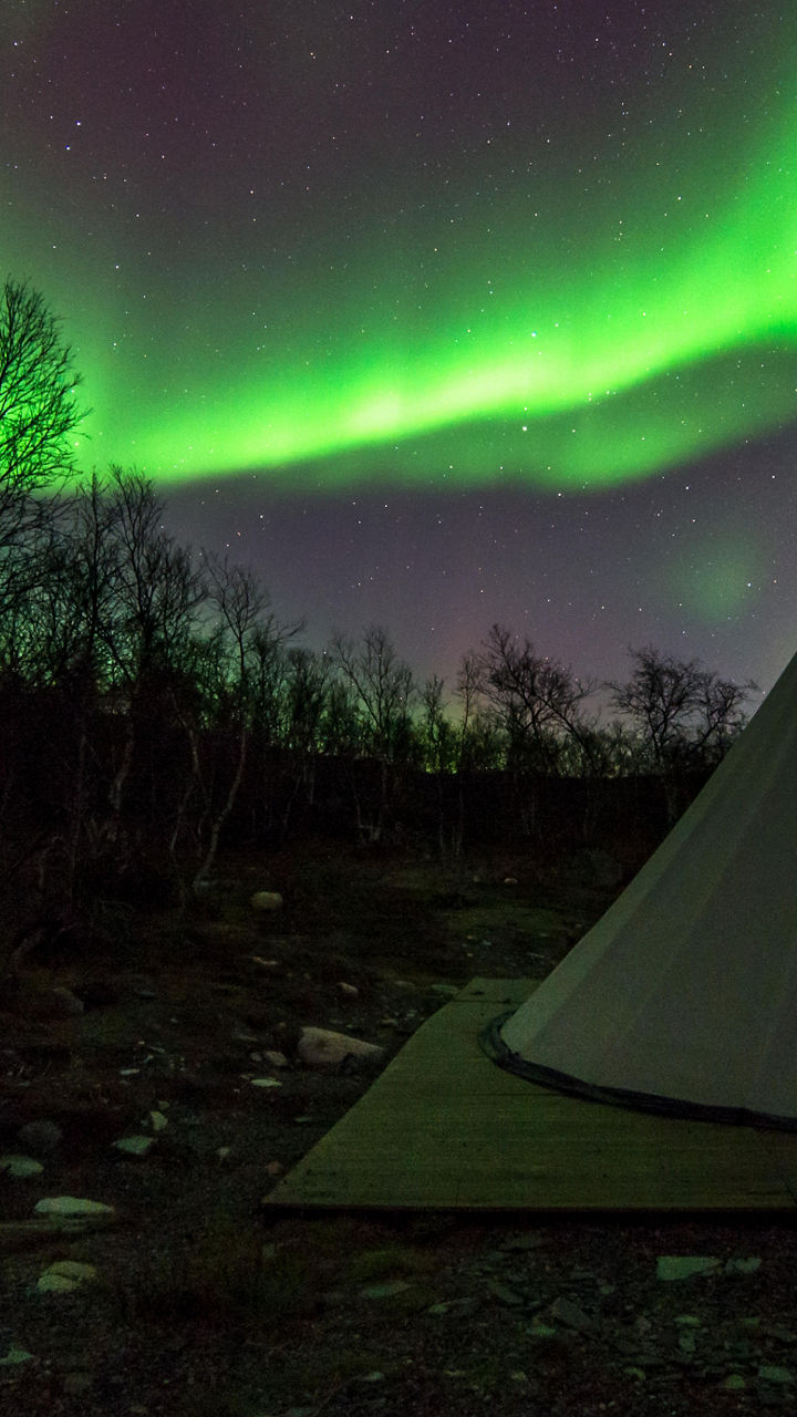Northern lights over tent in wilderness