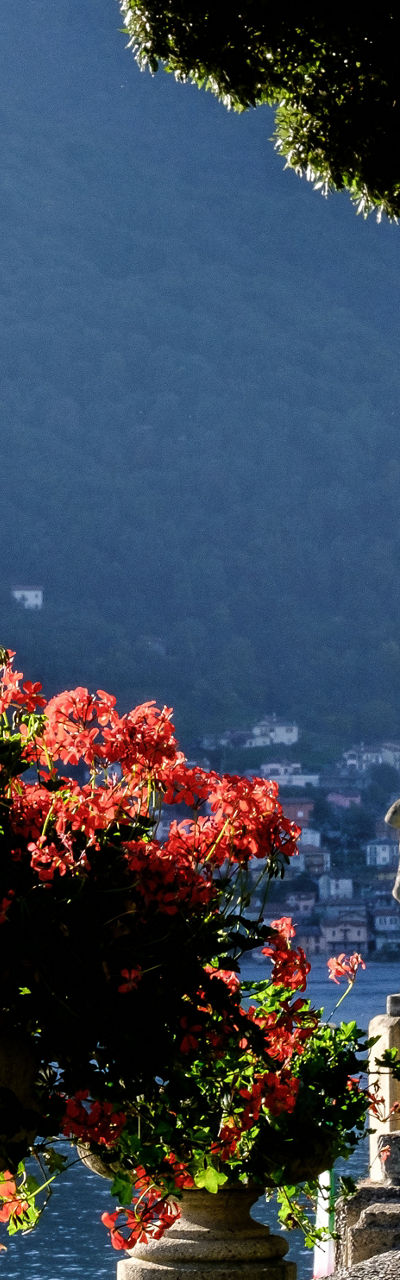 Statues and flowers by serene lake