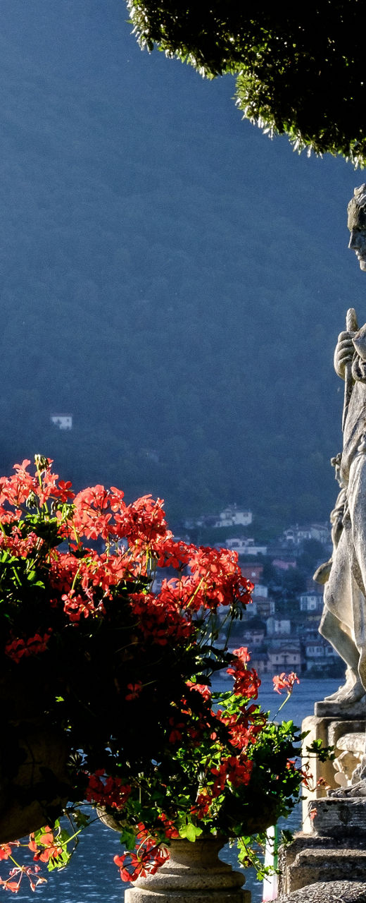 Statues and flowers by serene lake