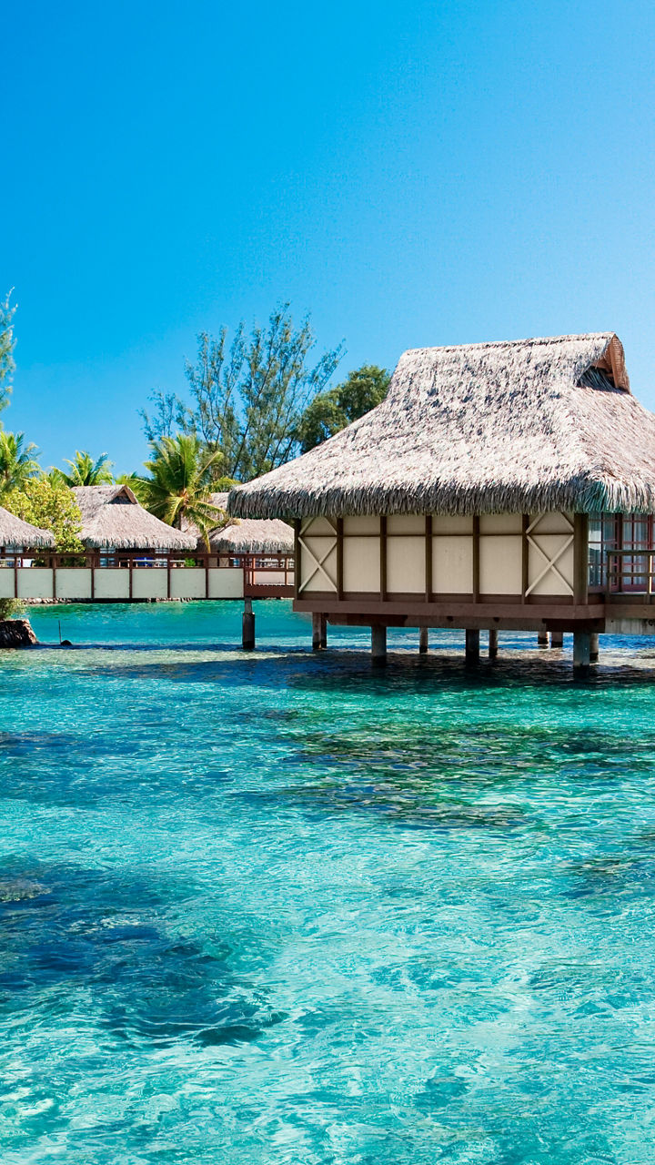 Tropical overwater bungalows in clear lagoon