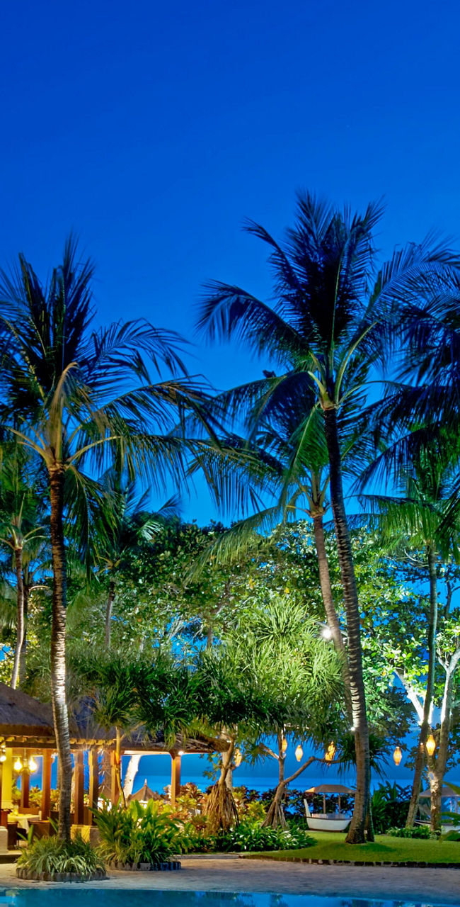 Tropical resort pool at night with palm trees
