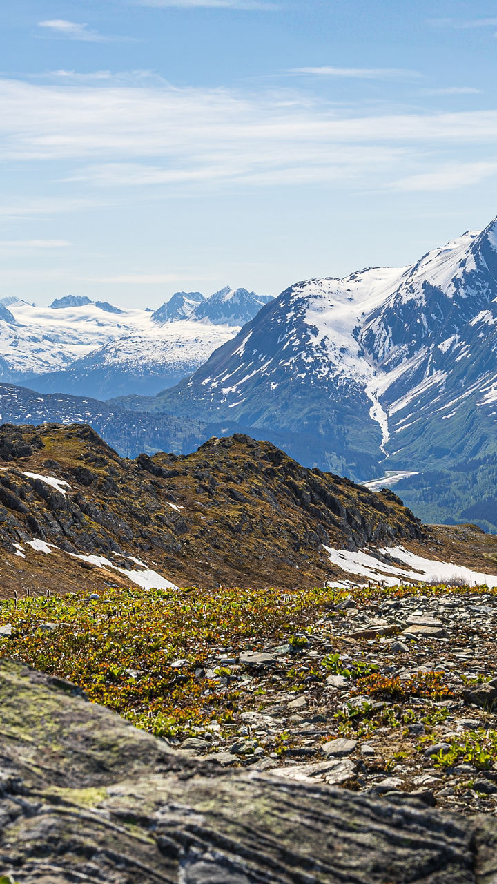 Thompson Pass Hike