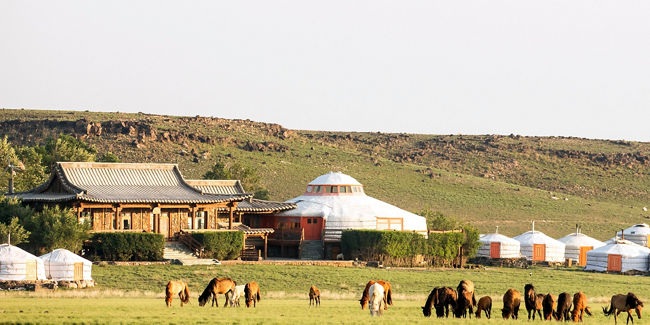 Traditional yurts and grazing horses in Mongolia