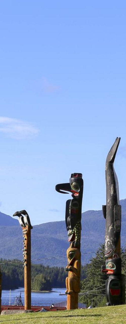Totem poles in grassy field with mountain backdrop