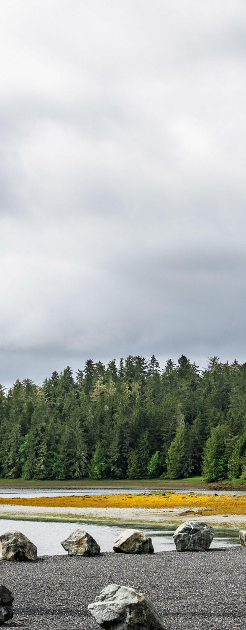 Colorful totem poles by forested lakeshore