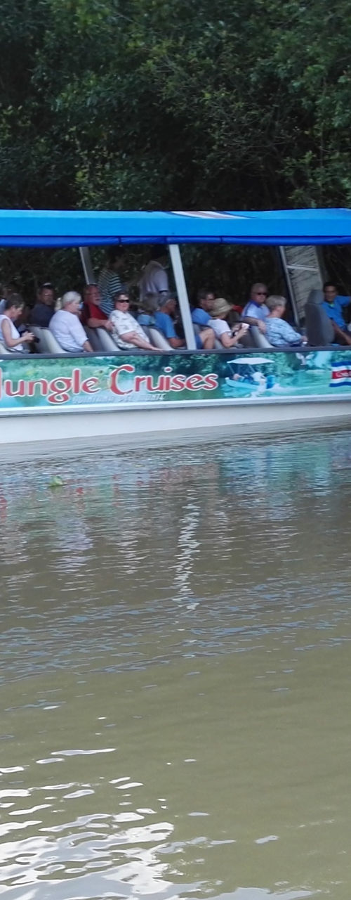 Tour boat cruising through mangrove forest