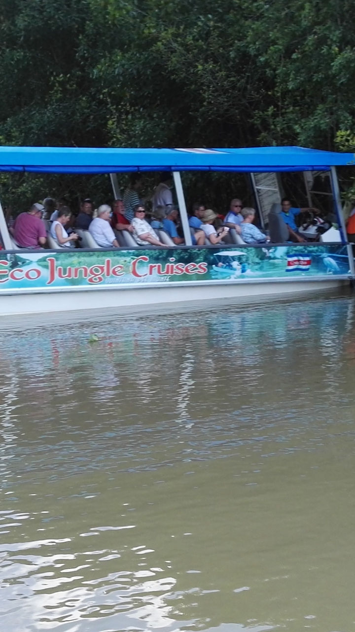Tour boat cruising through mangrove forest