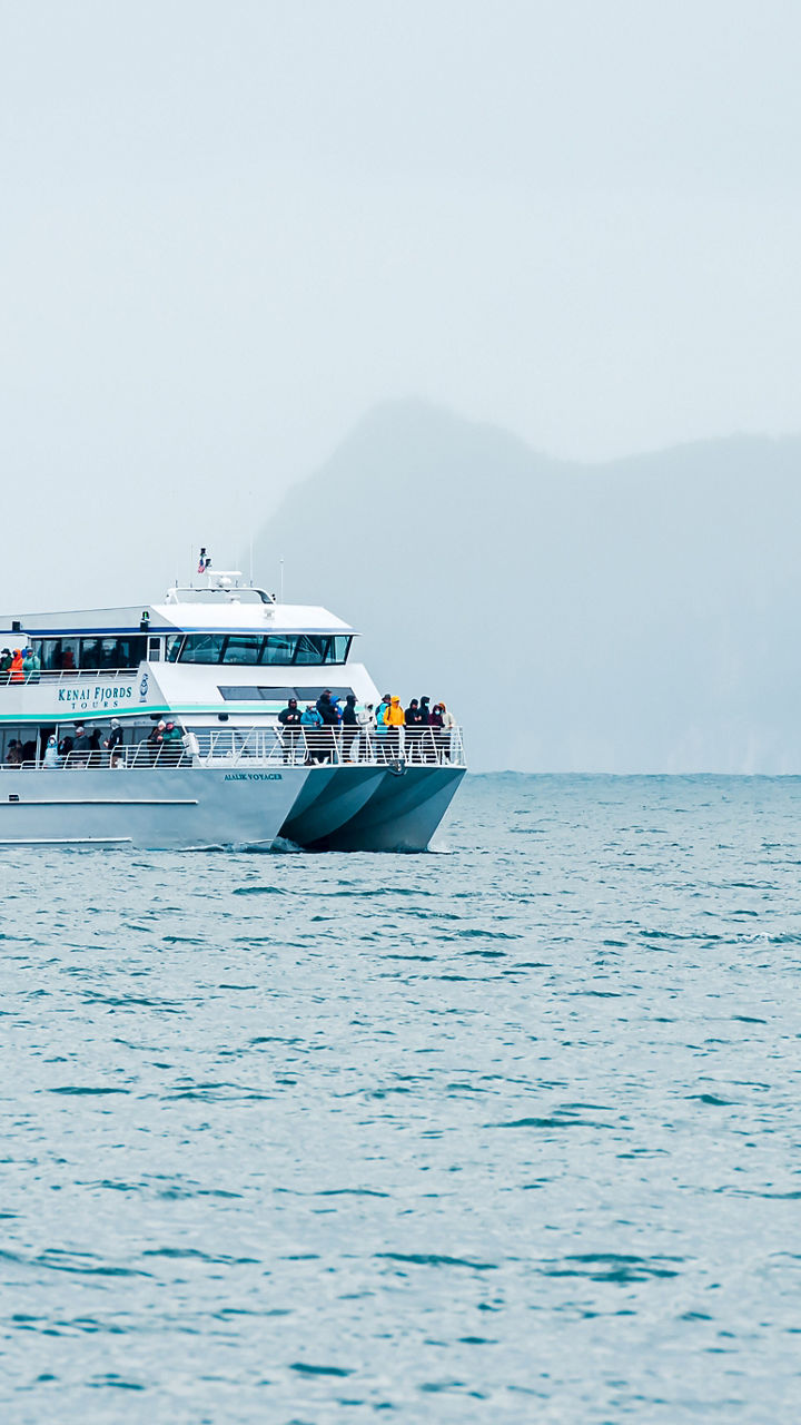 Waterfront & Wildlife Cruise