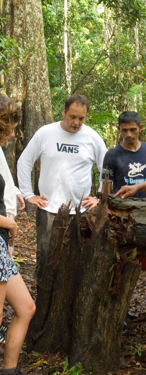 Group exploring forest environment together