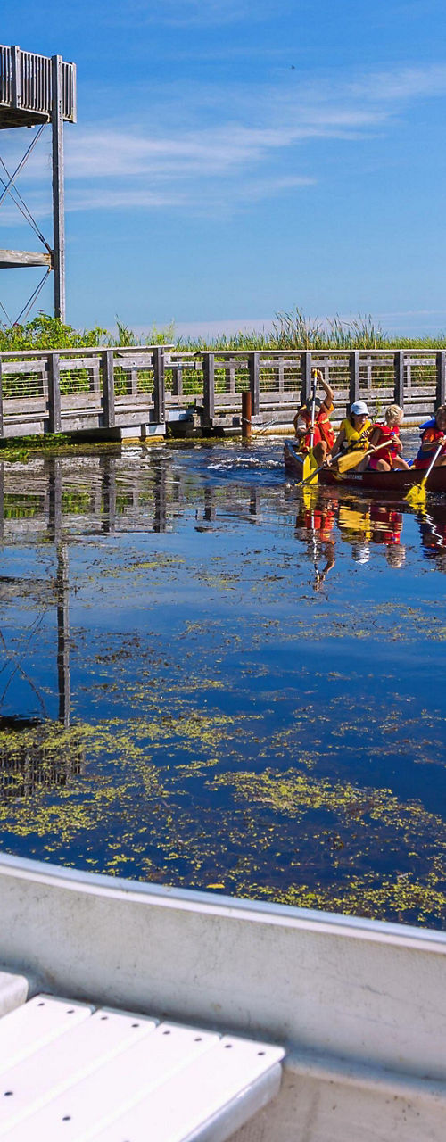 Canoe by Wetland Observation Tower