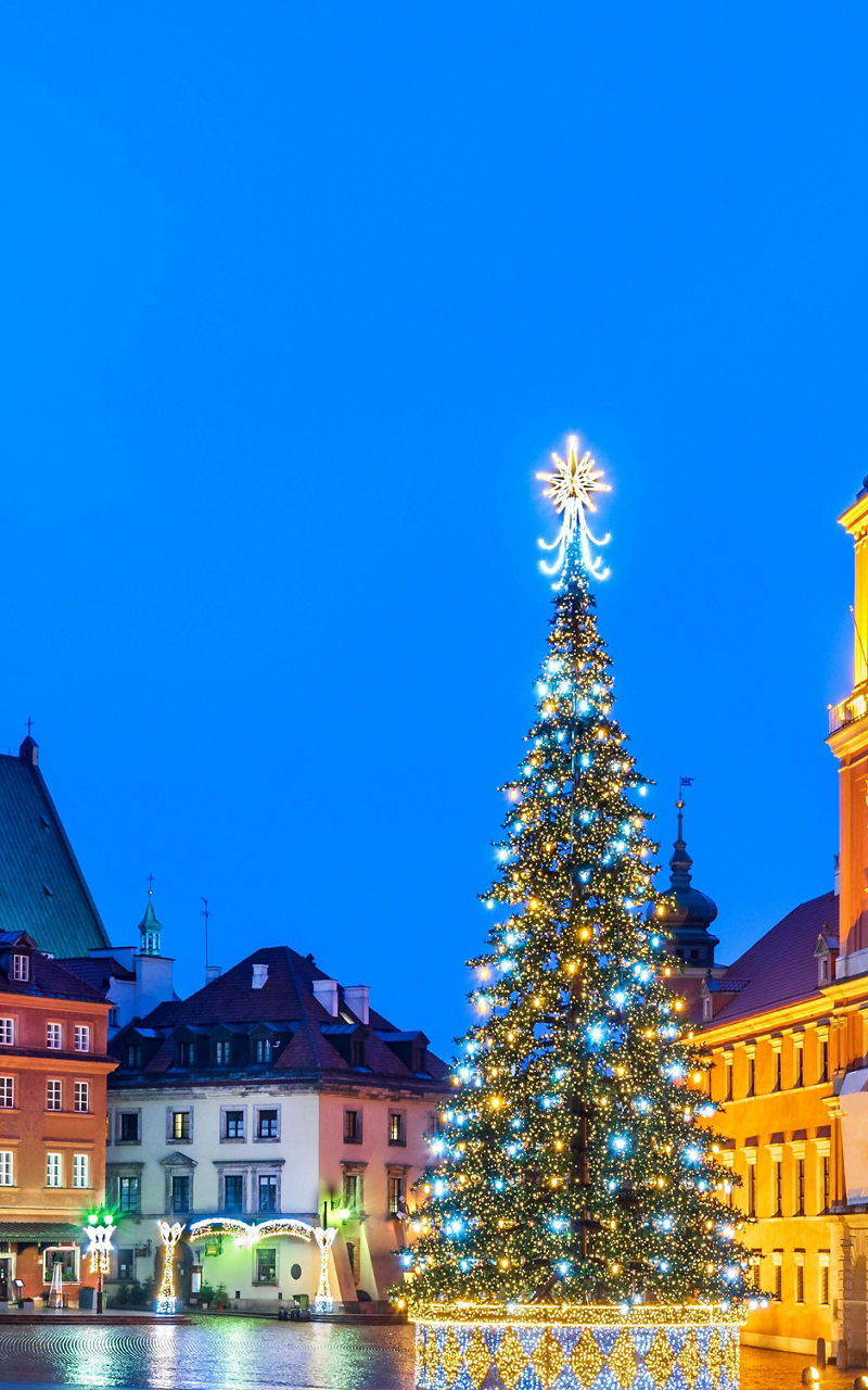 Warsaw Old Town Square with Christmas Tree