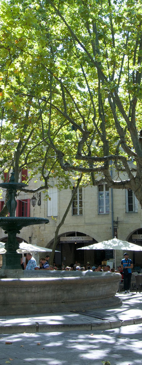 Sunny town square with shaded trees