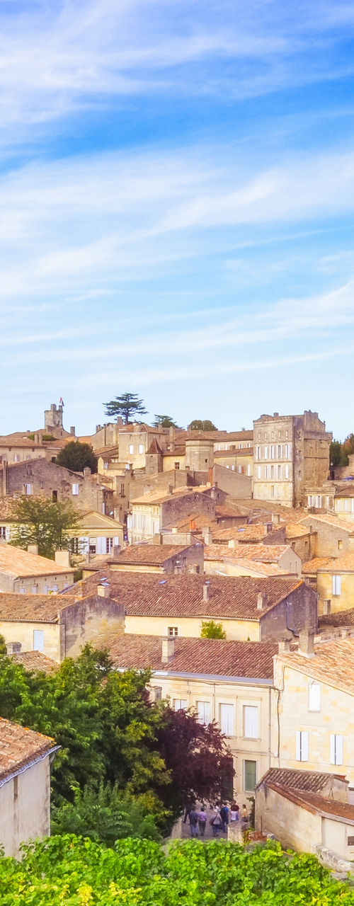 Scenic view of Saint-Émilion village and vineyards