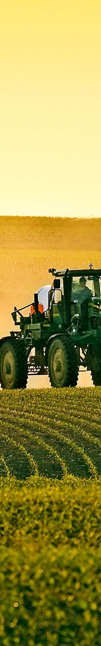 Tractor spraying crops in golden sunset