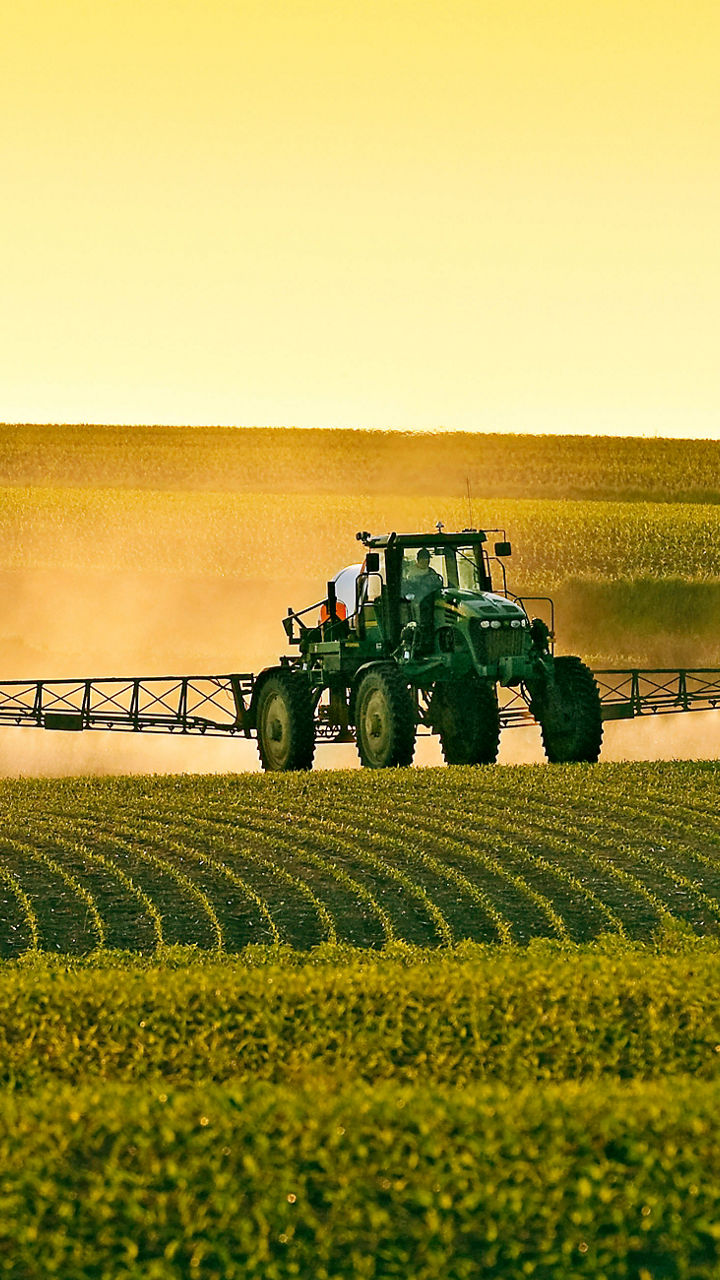 Tractor spraying crops in golden sunset