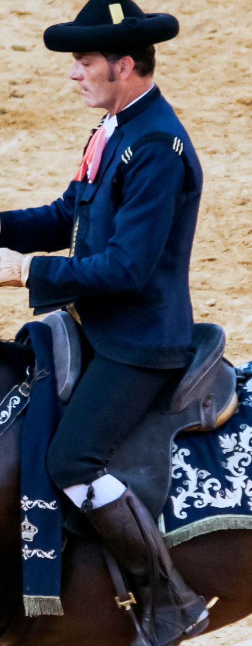 Equestrian rider performing dressage on arena