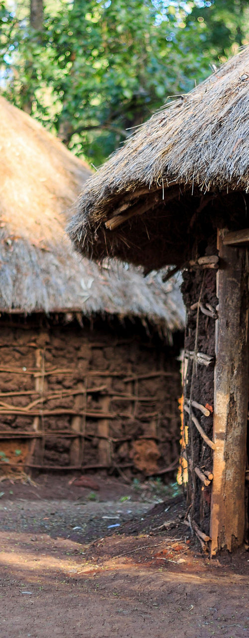 Traditional thatched huts in rural landscape