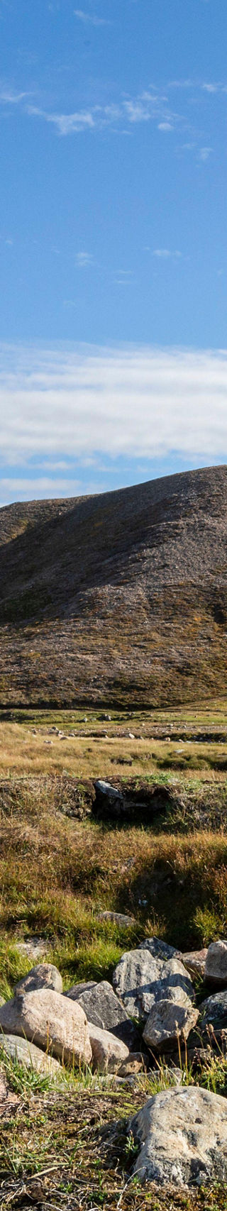 Traditional attire in Arctic tundra landscape