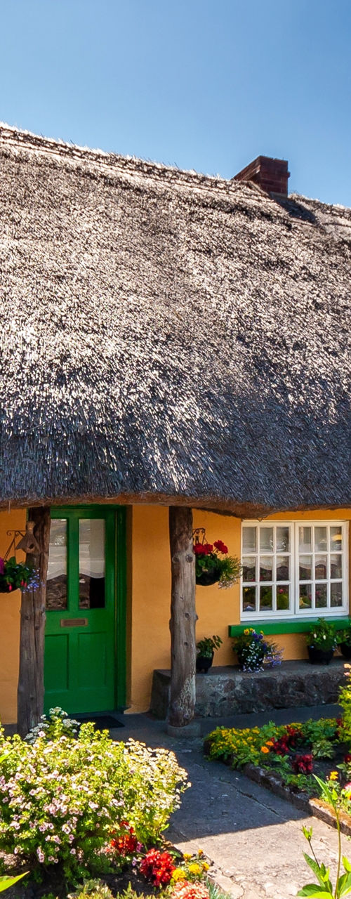 Charming thatched cottage with colorful garden