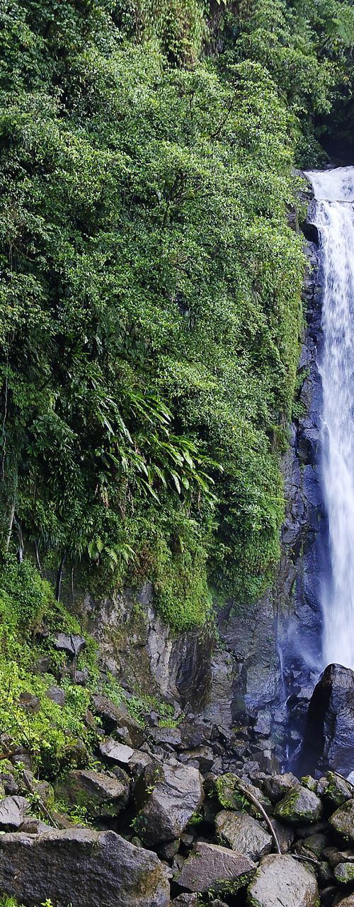 Tropical waterfall surrounded by lush greenery
