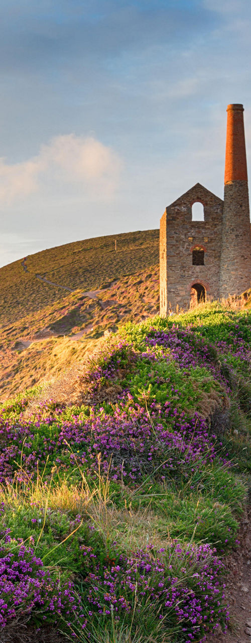 Historic coastal ruin with vibrant landscape
