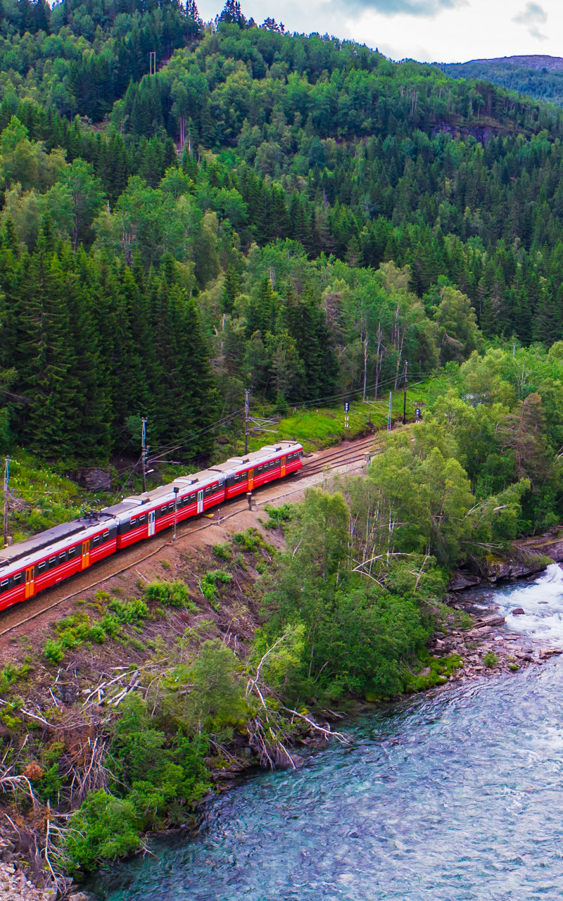 Red train traveling through lush forest valley
