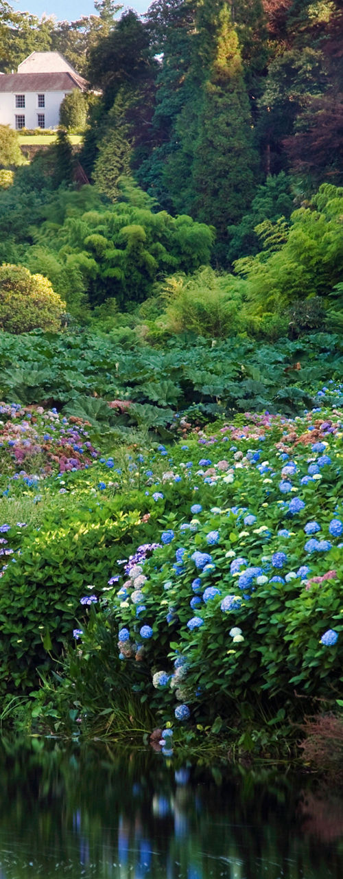 Scenic garden with bridge and flowers