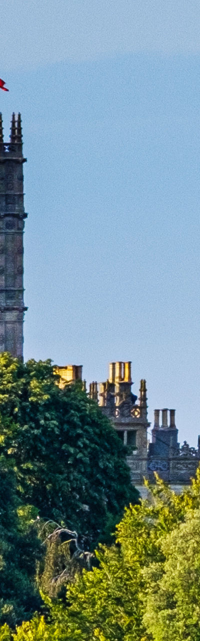 Historic castle surrounded by lush greenery