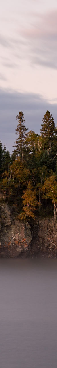 Serene island at sunset with trees