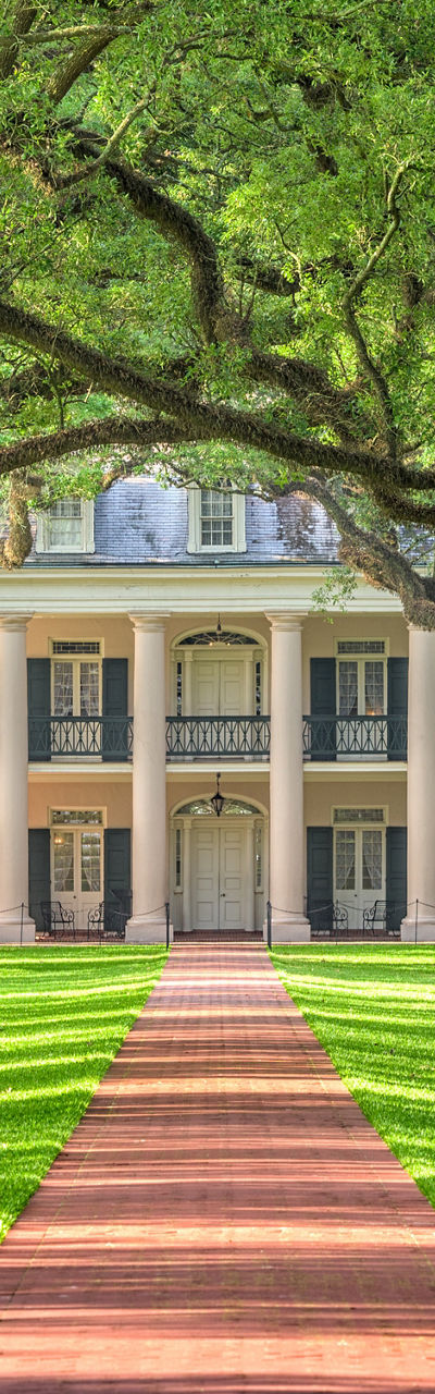 Historic mansion framed by oak tree canopy