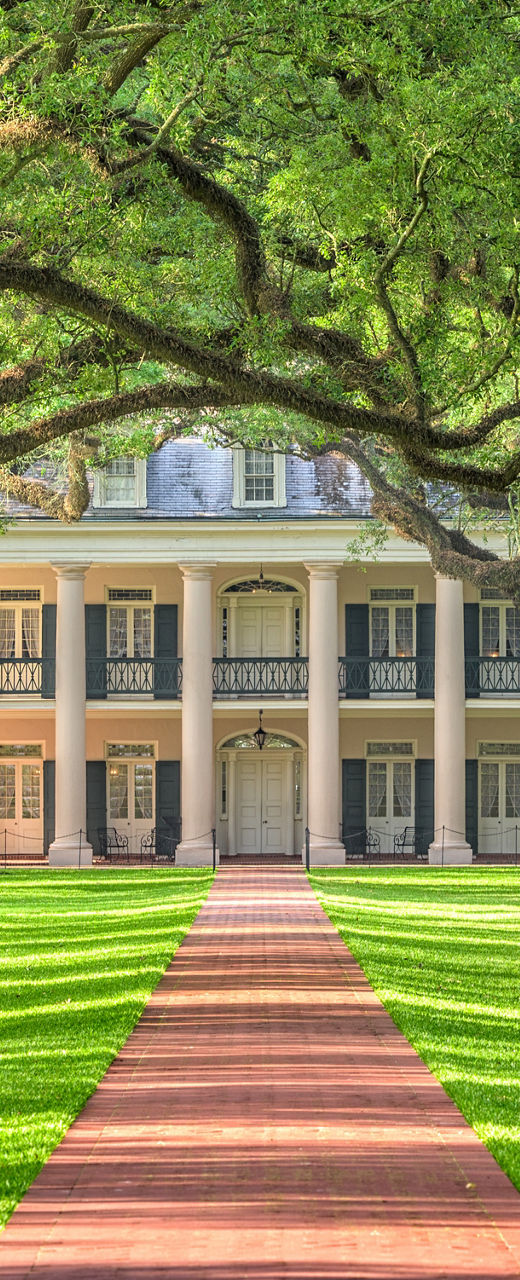 Historic mansion framed by oak tree canopy