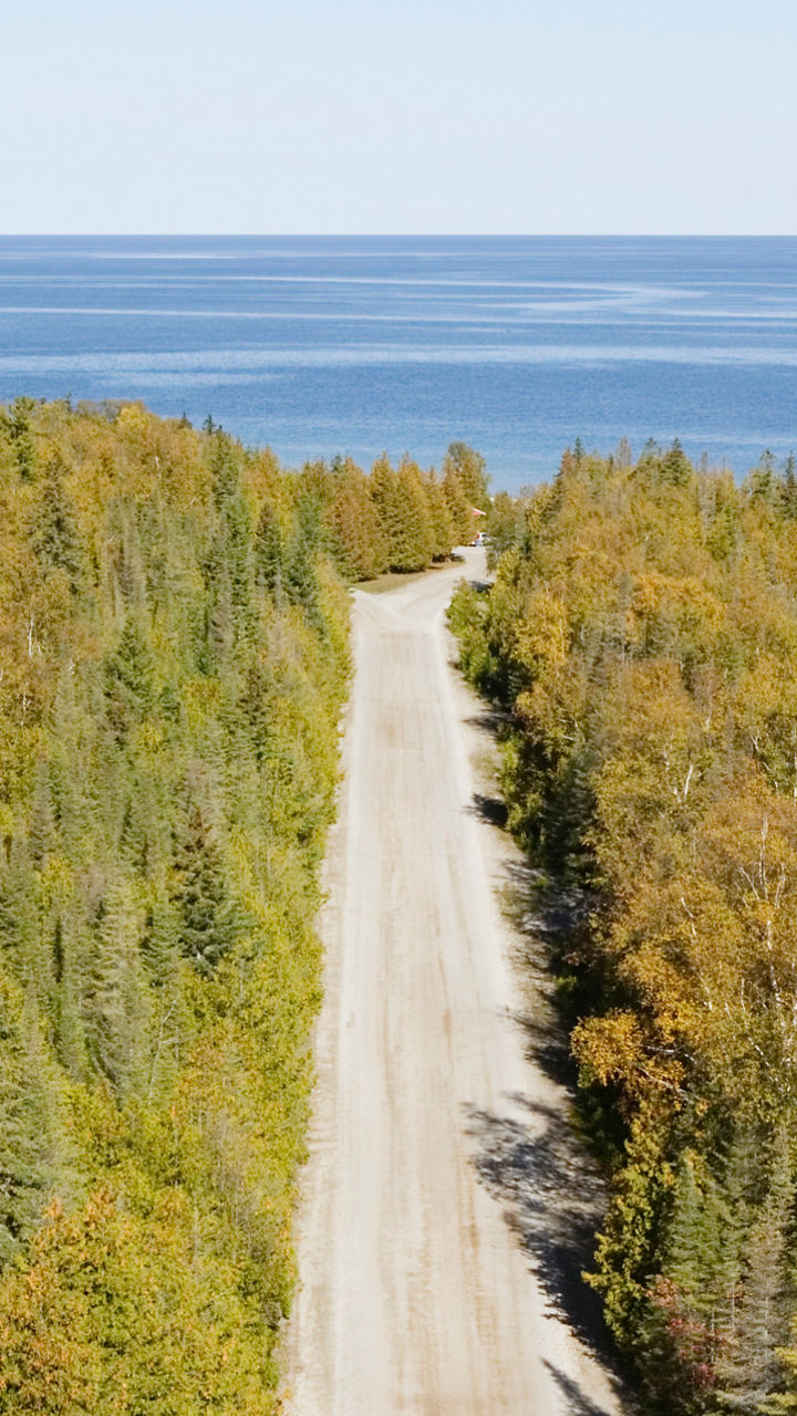 Scenic forest road leading to blue lake