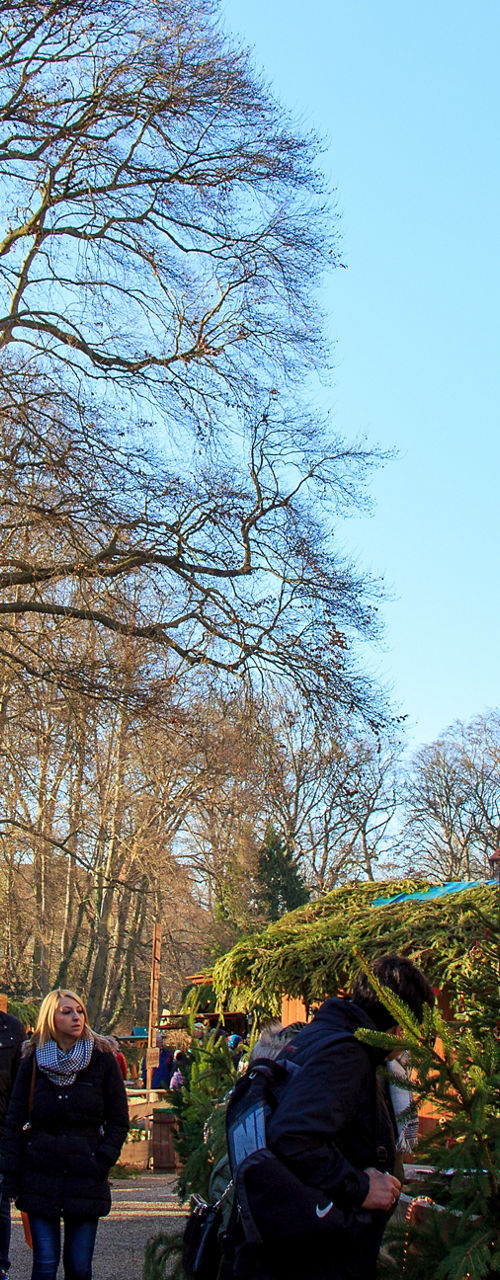 Outdoor Christmas market near historic building