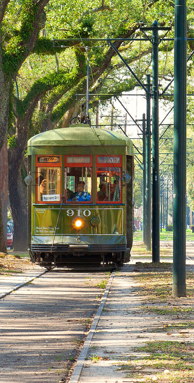 Historic green streetcar on tree-lined tracks